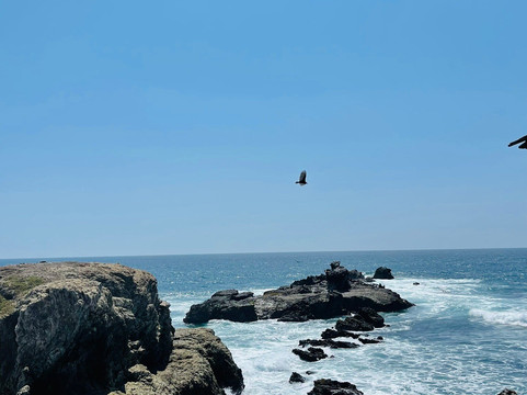 La Lobería-萨利纳斯必去景点