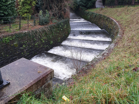 Roath Park-卡迪夫必去景点