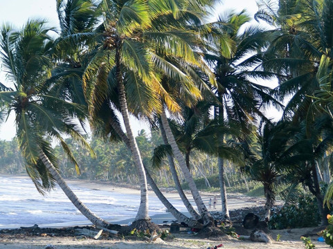 AligaTours-普拉塔港必去景点