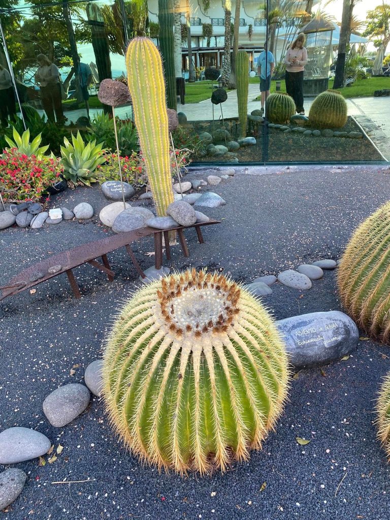 Hipotels Natura Palace-浴室