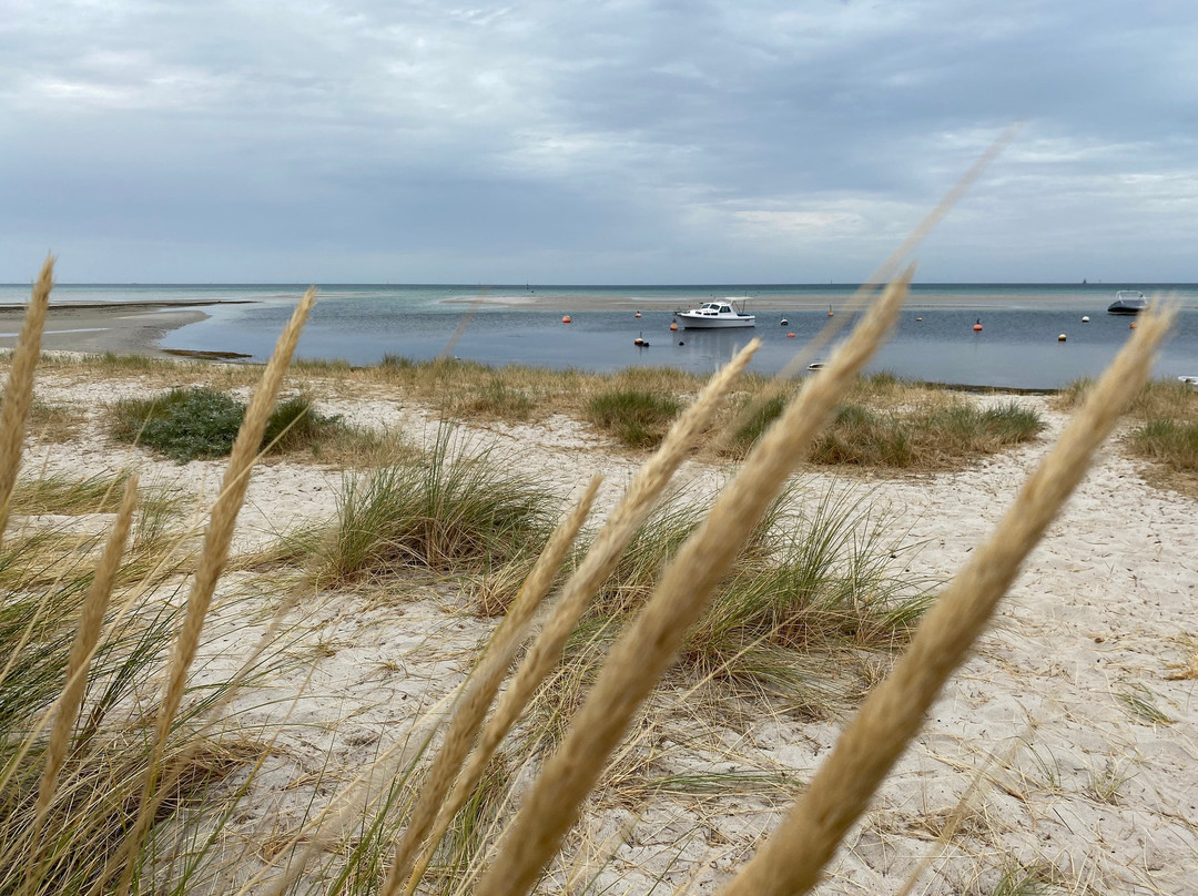 Rosebud Beach-Rosebud必去景点