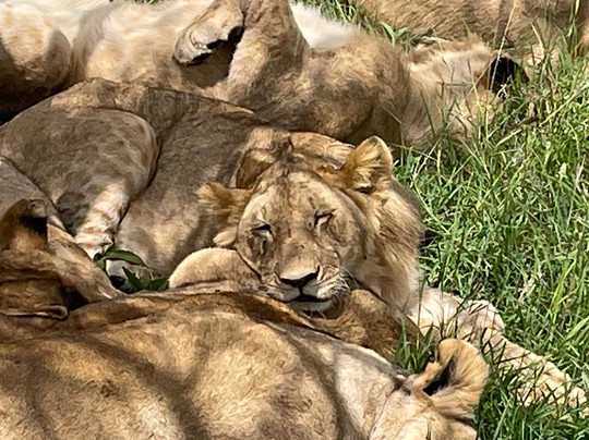 Trek Africa Expeditions-Lyamutundwe必去景点