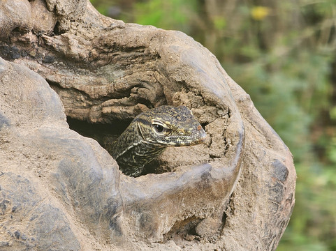 TrustGo Travels-埃勒必去景点