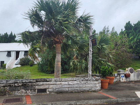 Carter House-圣乔治镇必去景点