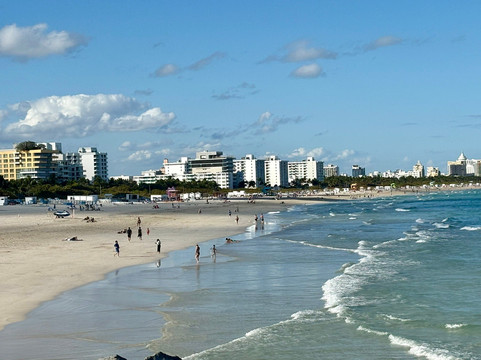 Tarpoon Lagoon Dive Center-迈阿密海滩必去景点