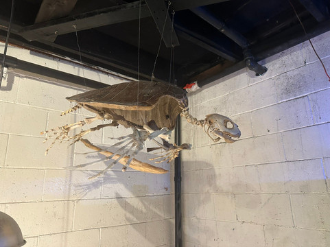 Westport Aquarium-Westport必去景点