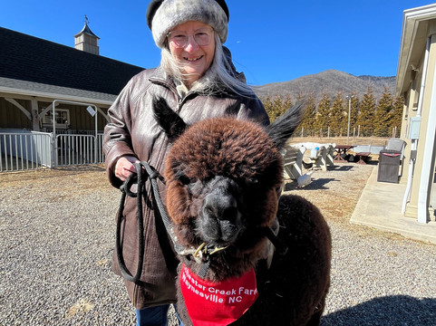 Winchester Creek Farm-韦恩斯维尔必去景点