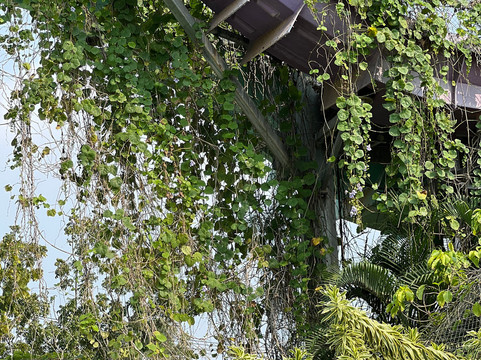 罗摩衍那水上乐园-芭堤雅必去景点