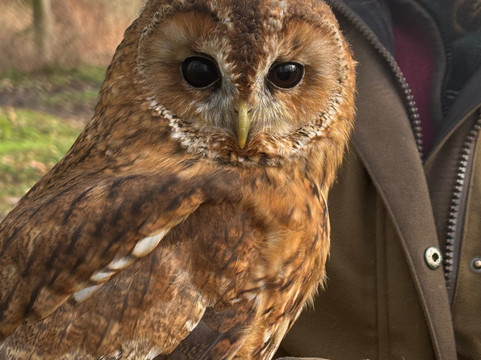 Rutland Outdoor Pursuits-Cottesmore必去景点