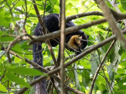 Khaoyai Jungle Tour and Photographer by Guide Jay-北冲县必去景点