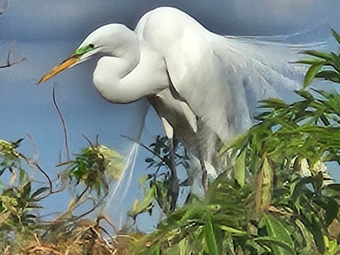 Epic Water Boat Tours LLC-Fruitland Park必去景点