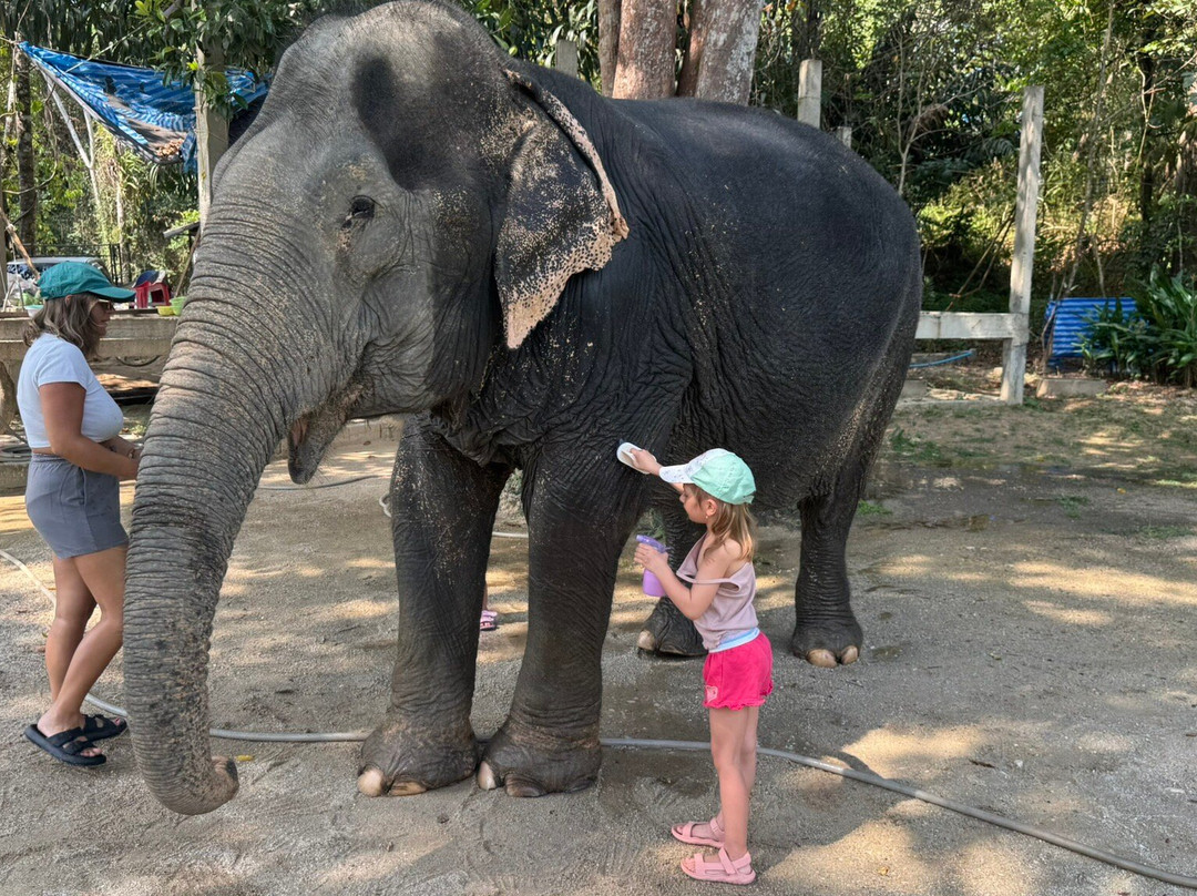 Supaporn Elephant Camp-Bang Muang必去景点