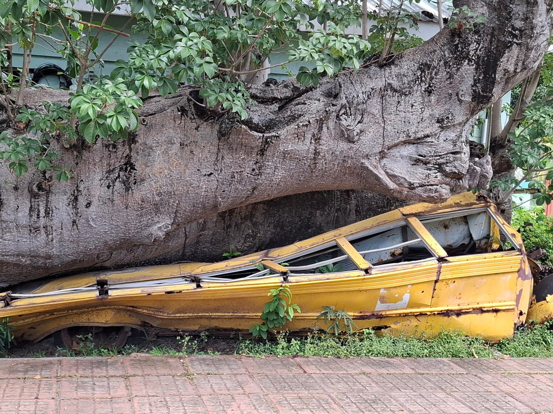 David and Goliath-罗索必去景点