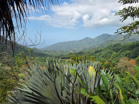 内陆自然保护区酒店主图