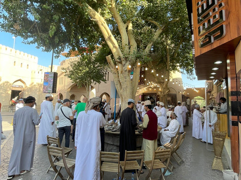 Desert Camels Adventure Tours-尼日瓦必去景点