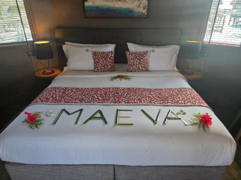 提克豪-珍珠度假村-官方