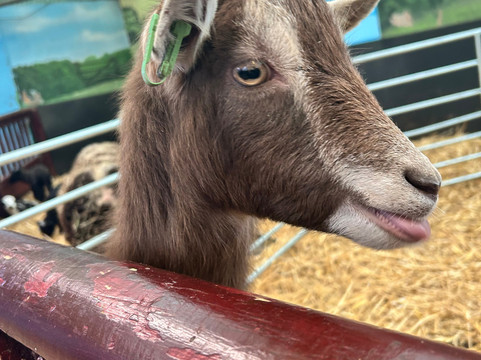 Hatton Country World-Hatton必去景点