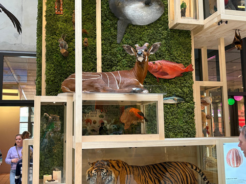 Museon-Omniversum-海牙必去景点