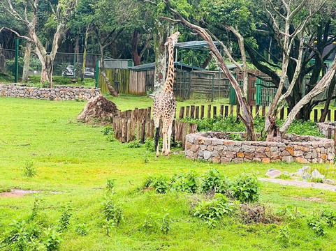 Entebbe Zoo-恩德培必去景点