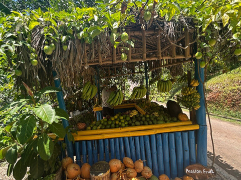Vallée Des Fruits-大安塞区必去景点