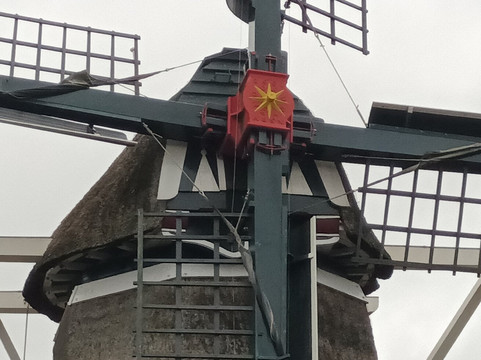 Windmolen De Vlijt (1882)-Diever必去景点