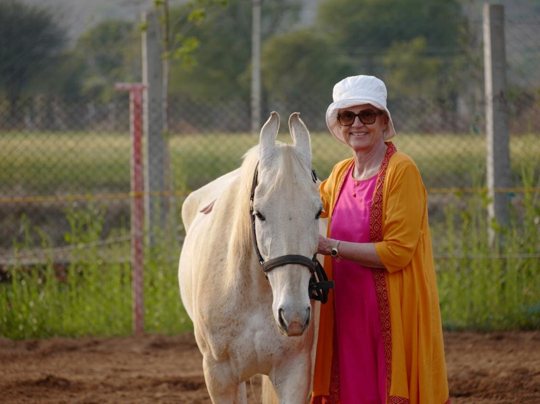 Horse Whispering in Jaipur