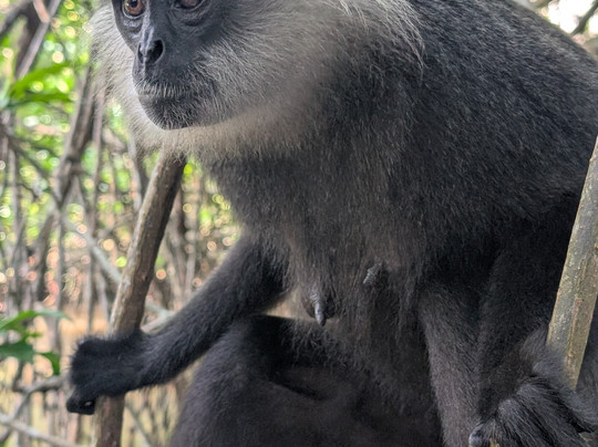 Manu Tours & Travels-亚洪加拉必去景点