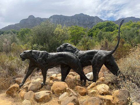 Dylan Lewis Sculpture  Garden-斯泰伦博斯必去景点