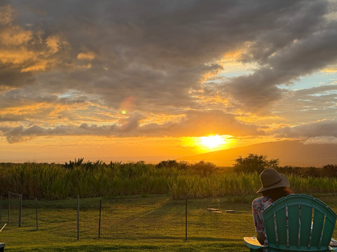 Ocean Vodka Organic Farm and Distillery-库拉必去景点