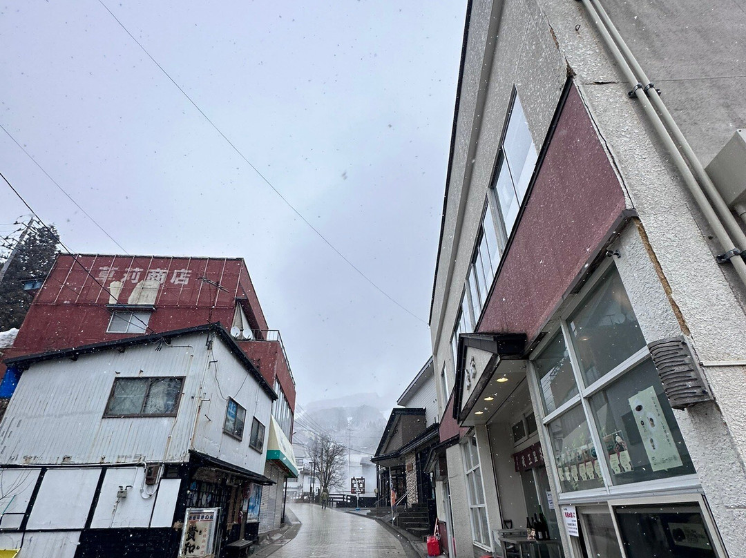 五感之汤鹤屋酒店主图