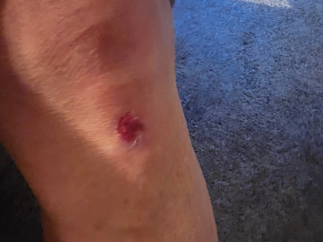 利比乡间汽车旅馆主图