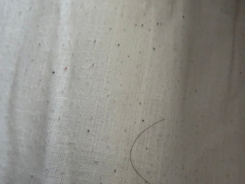 Termas de Cauquenes主图