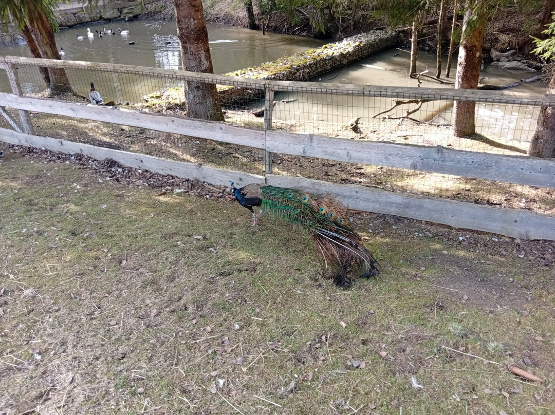 Gut Aiderbichl Henndorf-Henndorf am Wallersee必去景点