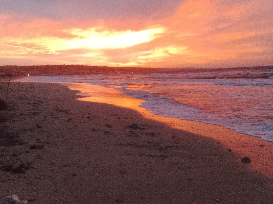 Spiaggia Pescoluse-Pescoluse必去景点