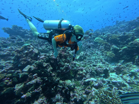 The Six Passengers-阿瓦托鲁必去景点