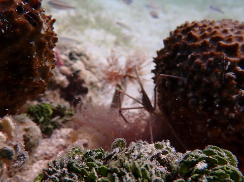 St.Thomas Adventures-圣 托马斯必去景点