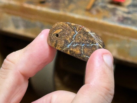 Opal Museum-布里斯班必去景点