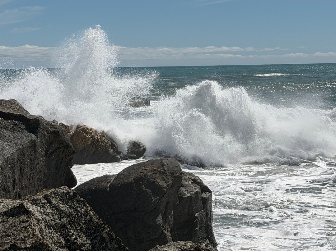 海湾别墅海滨住宿主图