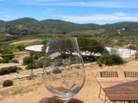 Bodegas De Santo Tomás-恩塞纳达必去景点