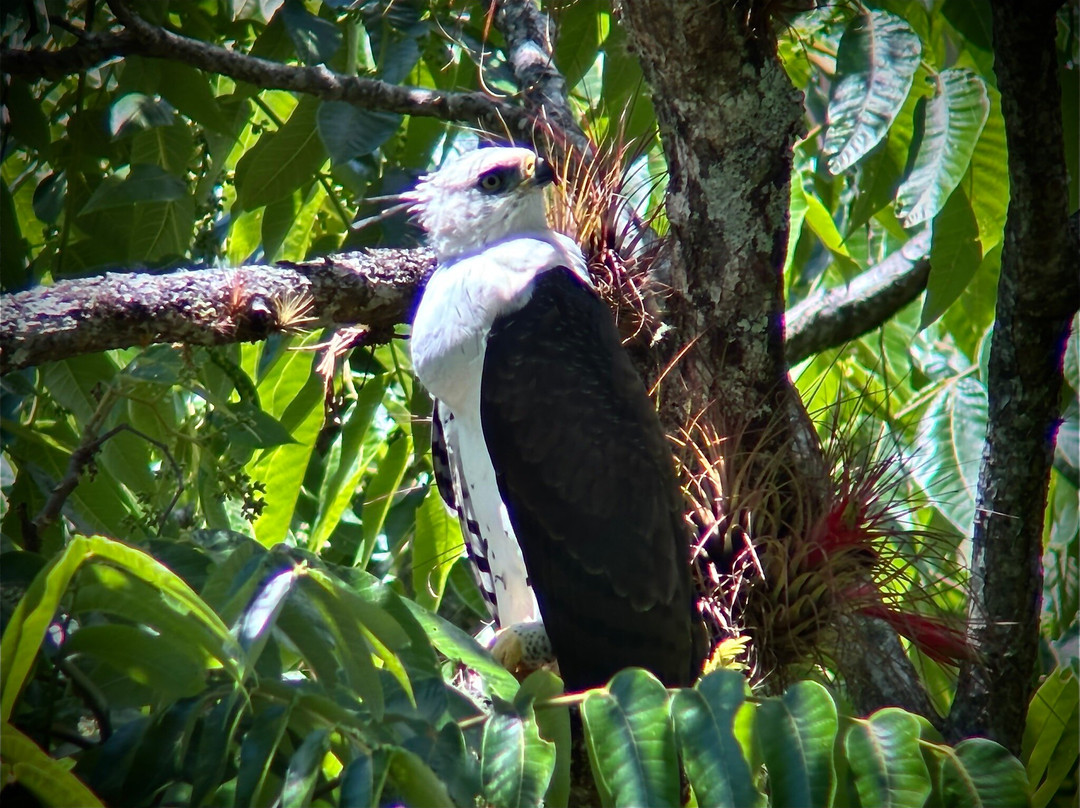 Jason Lara Tours-波魁特必去景点
