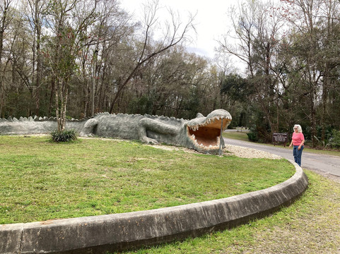 Palmetto Island State Park-Abbeville必去景点