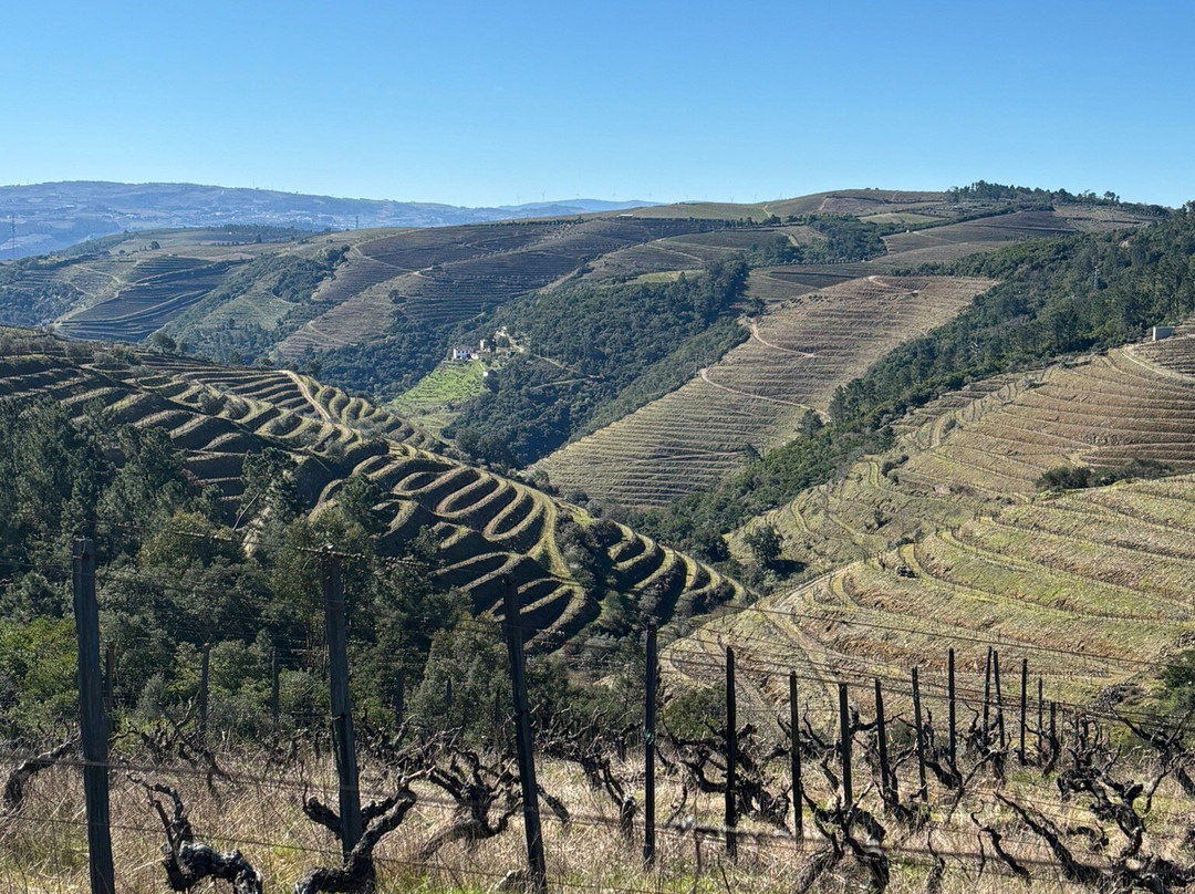 Quinta do Roncão-Vila Real必去景点