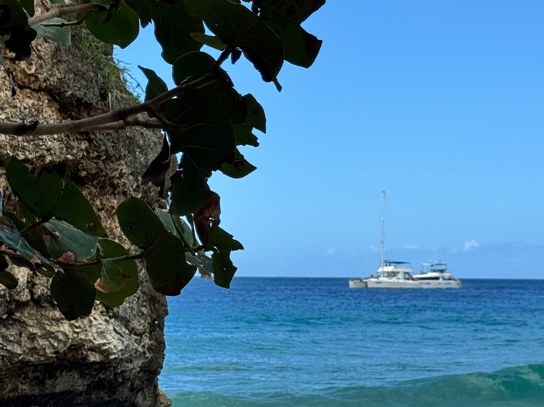 Playa Alicia-苏莎亚必去景点