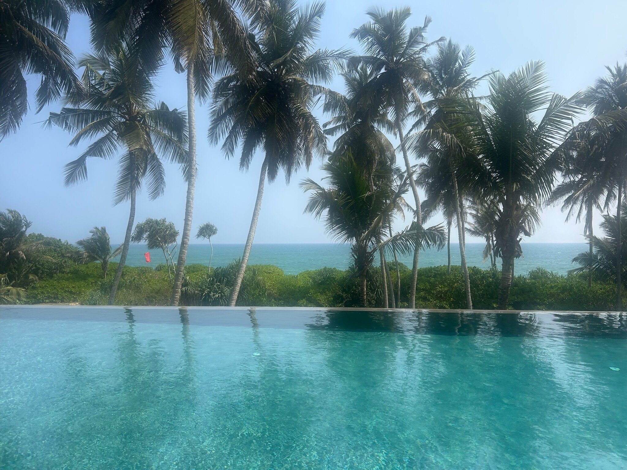 白金汉宫广场酒店-官方