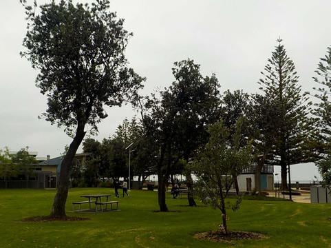 Weaver Reserve-阿尔托纳必去景点