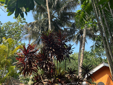 Darshana Lanka Tours-卡卢特勒必去景点