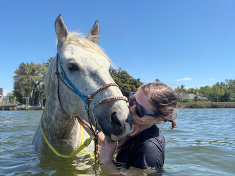 Florida Beach Horses-布雷登顿必去景点