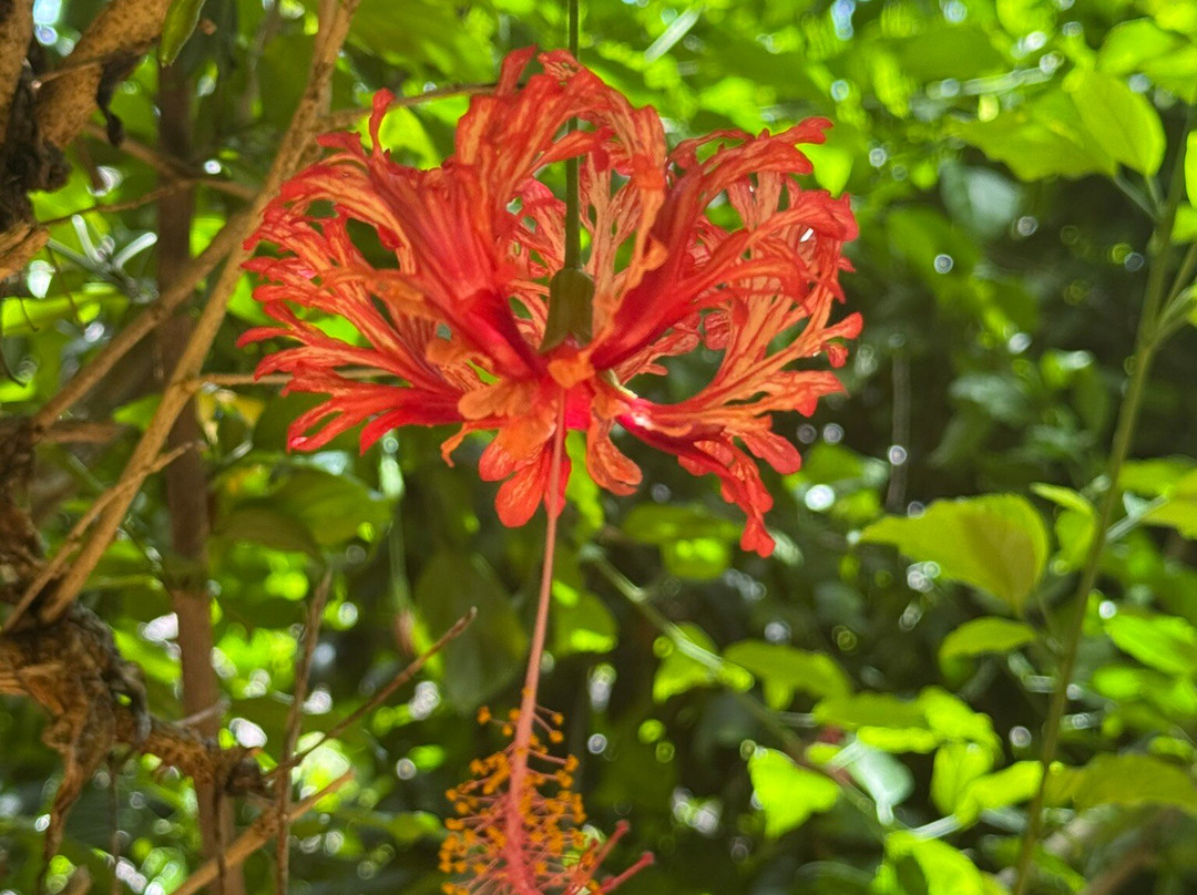 阳光湾成人酒店主图