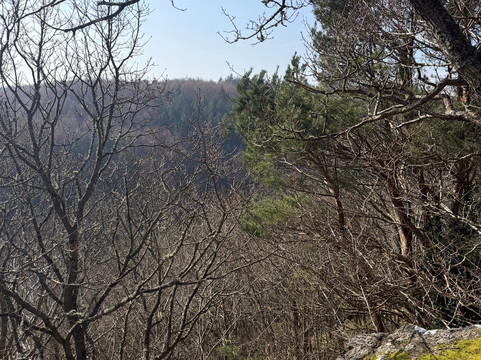 Allen Banks and Staward Gorge-Bardon Mill必去景点