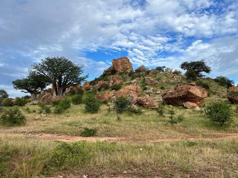 马蓬古布韦文化景观-Mapungubwe National Park必去景点